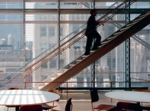 Active Design (AIA New York)