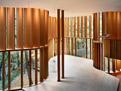 Shim_linking_light_and_landscape