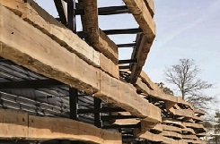 Tschumi_insights